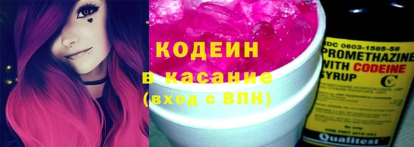 сатива Бронницы