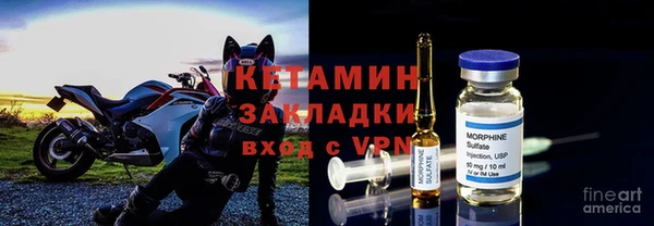 сатива Бронницы