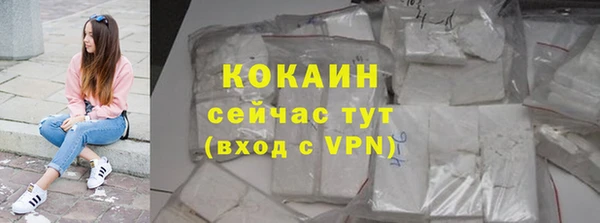 ECSTASY Богородицк