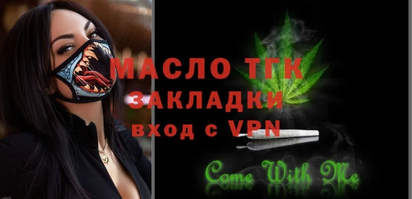 ECSTASY Богородицк