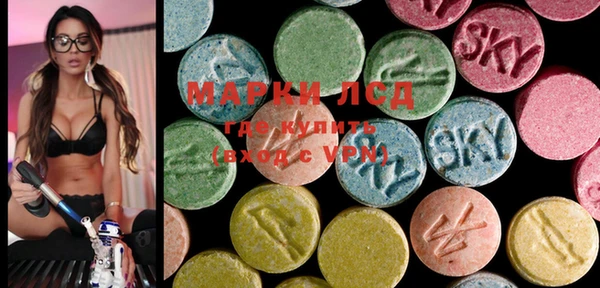 ECSTASY Богородицк