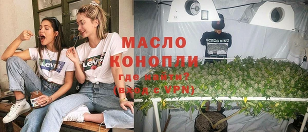 ECSTASY Богородицк