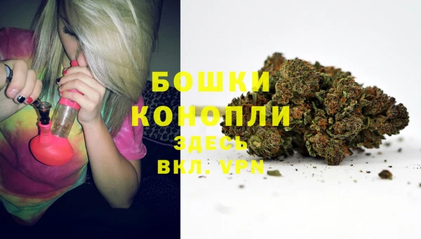 сатива Бронницы