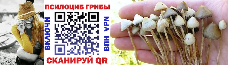 как найти наркотики  площадка клад  Псилоцибиновые грибы мицелий  Гороховец 